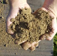 Broiler Manure